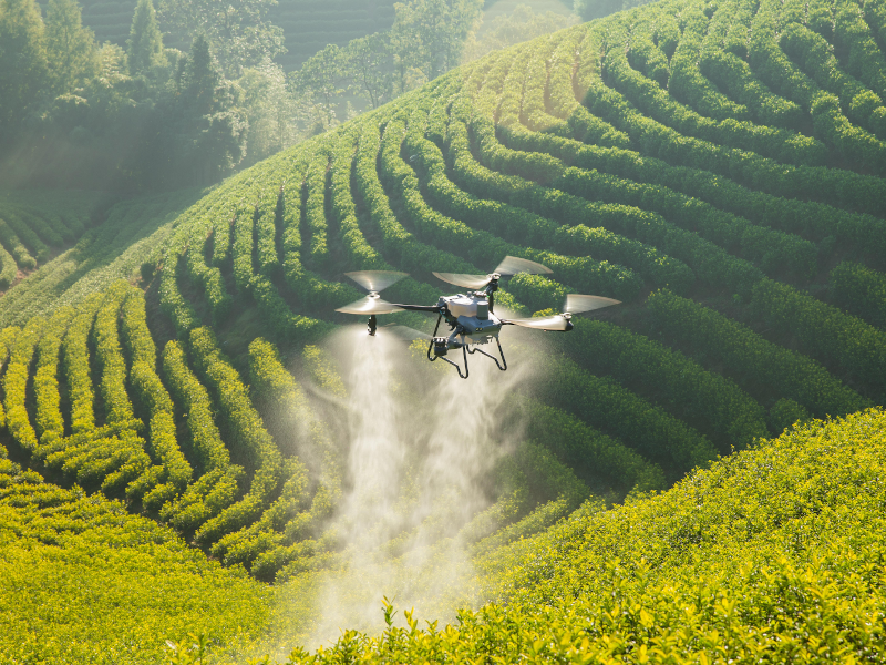 T25 Spray 001_800x600
